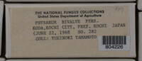 Image Associated With the Occurence